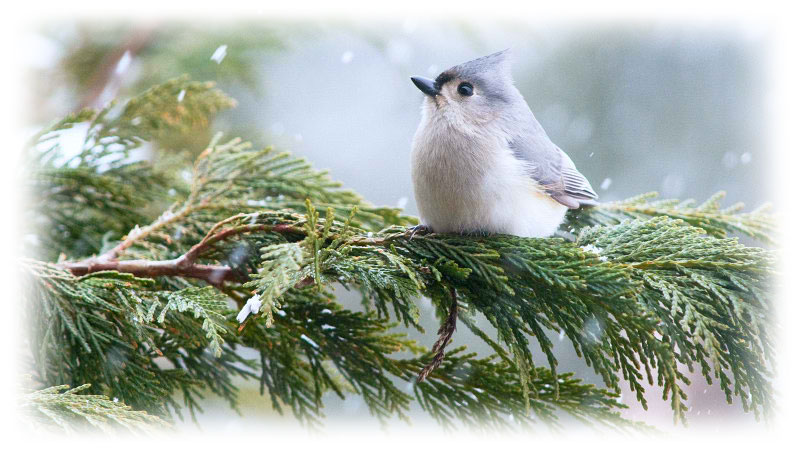 winter-14